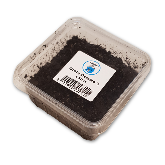 Lasebo Wormen Dendrobaena's