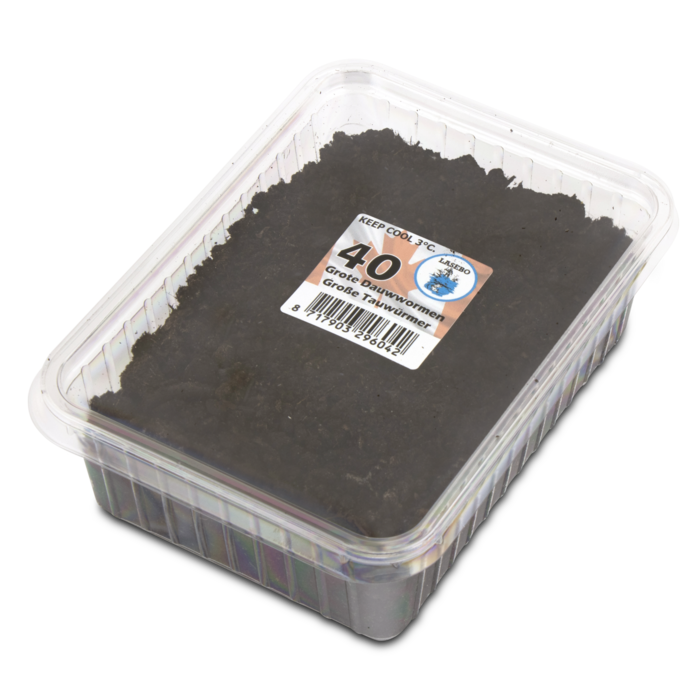 Lasebo Grote Dauwwormen