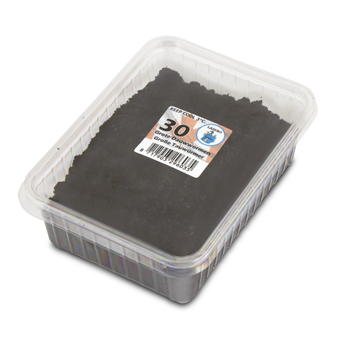 Lasebo Grote Dauwwormen