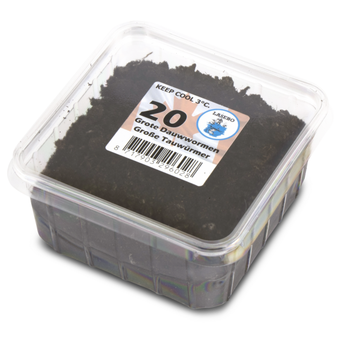 Lasebo Grote Dauwwormen