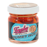 TROPHY BAITS MUMMY WORMS P/25