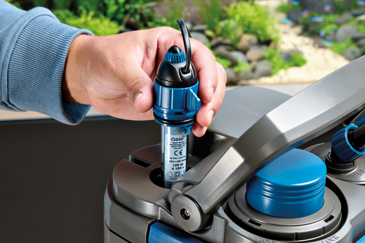 Oase BioMaster Thermo 2