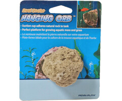 Penn Plax Wandsteen Met Zuignap 5,1x6,3 cm FORB1