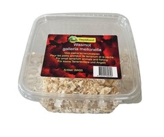 Reptifood Wasmotten In Doosje