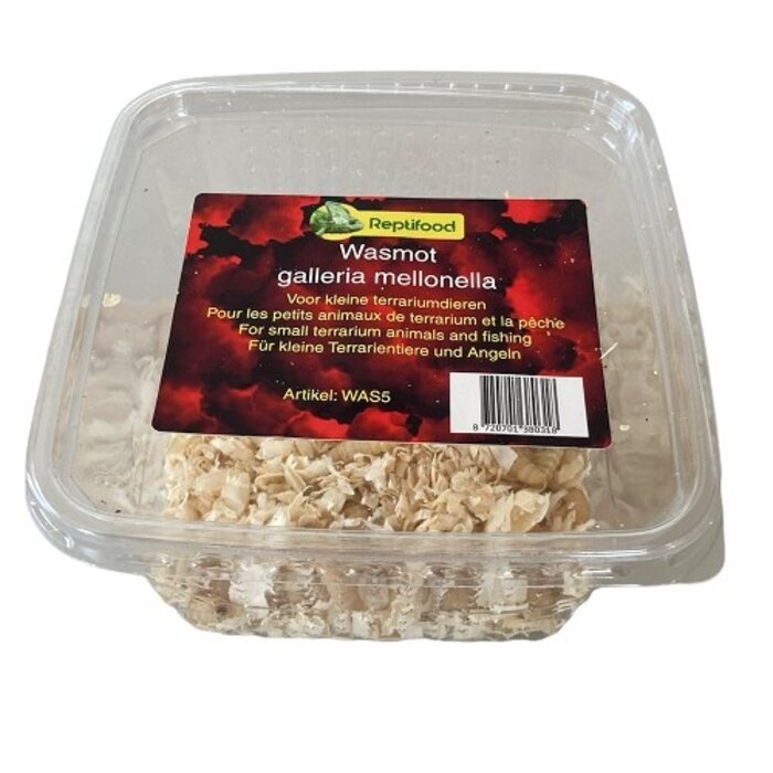 Reptifood Wasmotten In Doosje