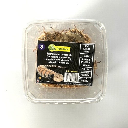Reptifood Sprinkhanen In Doosje