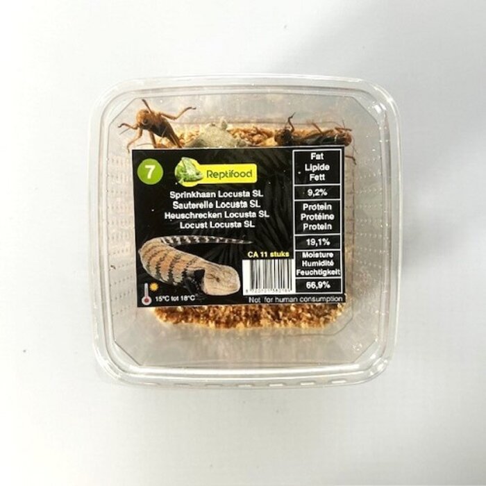 Reptifood Sprinkhanen In Doosje