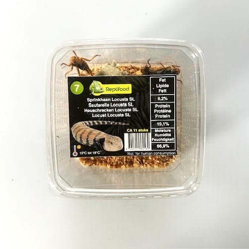 Reptifood Sprinkhanen In Doosje