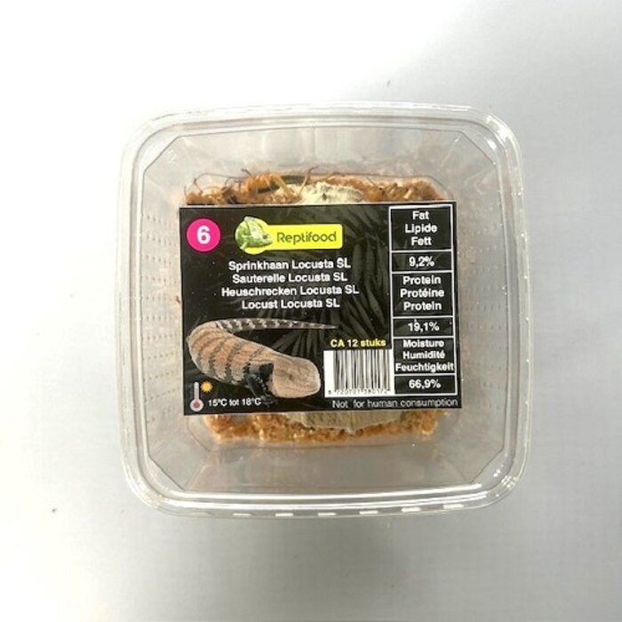 Reptifood Sprinkhanen In Doosje