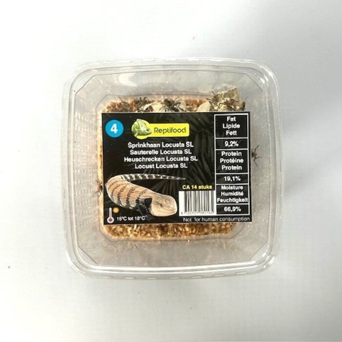 Reptifood Sprinkhanen In Doosje