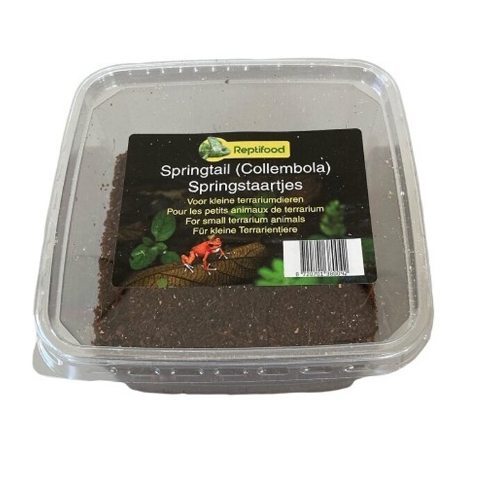 Reptifood Springstaartjes In Doosje