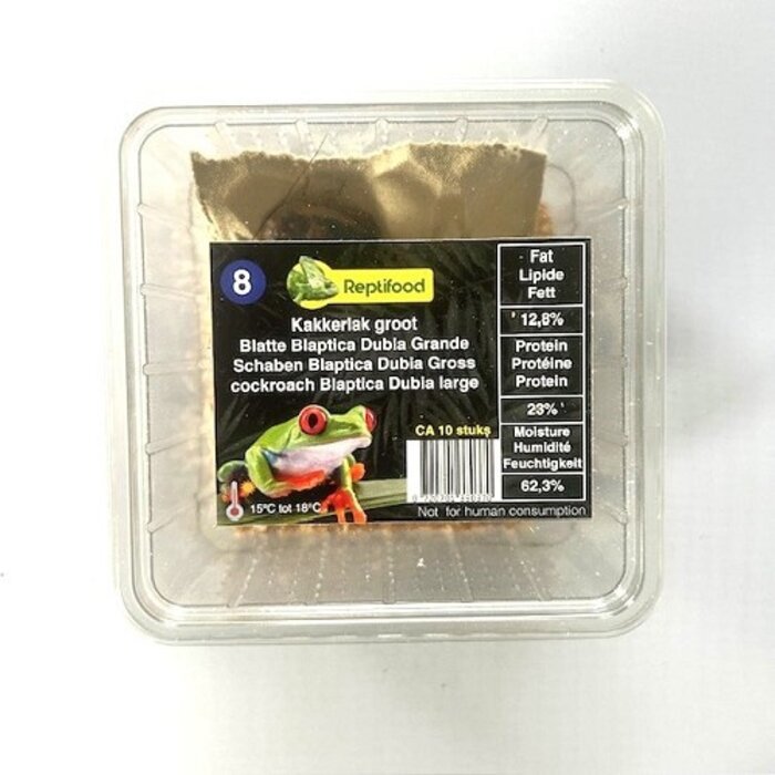 Reptifood Kakkerlak Blaptica Dubia In Doosje