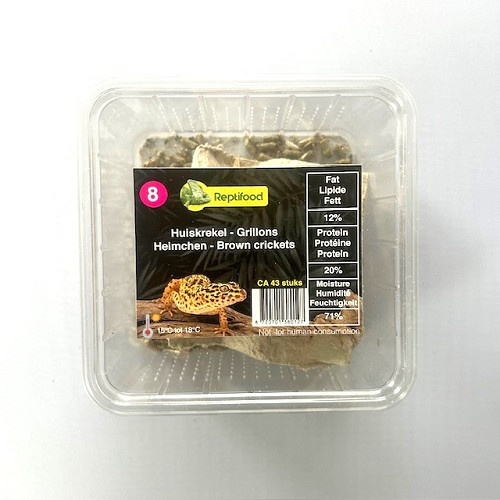 Reptifood Huiskrekels In Doosje