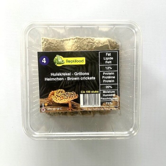 Reptifood Huiskrekels In Doosje