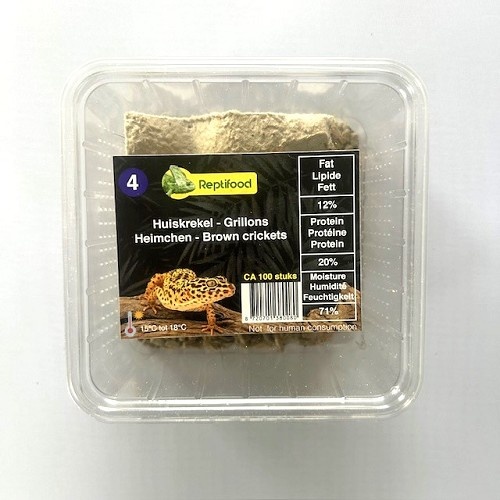 Reptifood Huiskrekels In Doosje