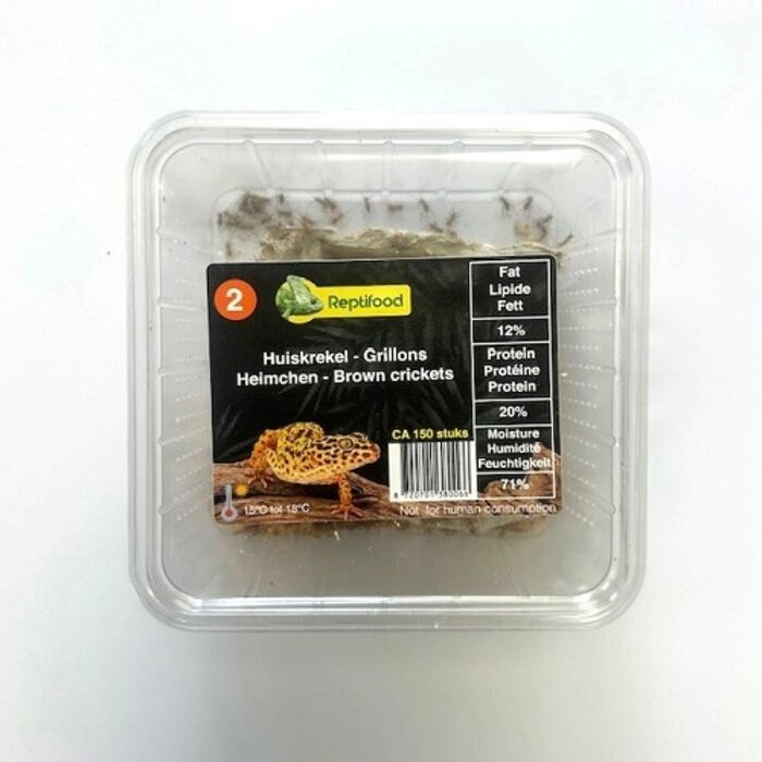 Reptifood Huiskrekels In Doosje