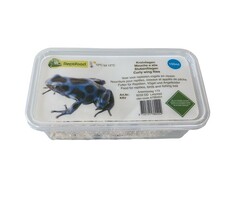 Reptifood Krulvlieg in Doosje