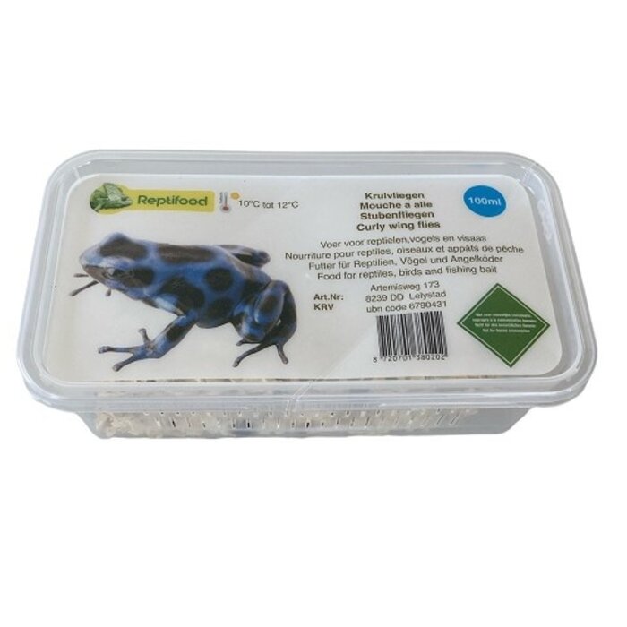 Reptifood Krulvlieg in Doosje