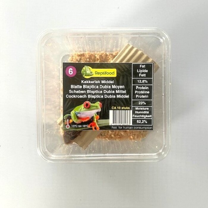 Reptifood Kakkerlak Blaptica Dubia In Doosje