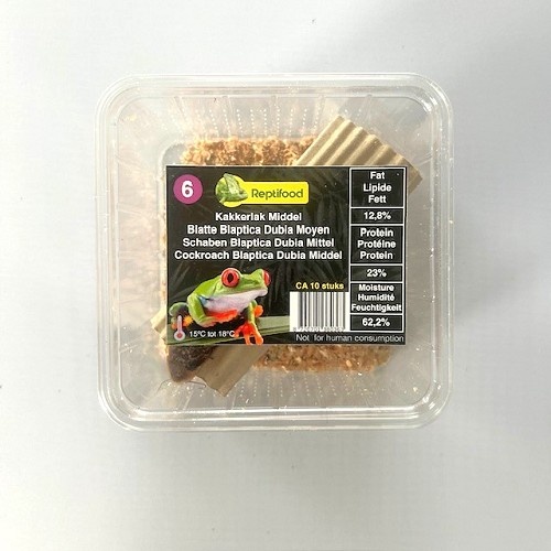 Reptifood Kakkerlak Blaptica Dubia In Doosje