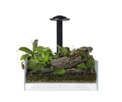 Wabi Kusa Bio Air Tank 20x20x20 cm Inclusief Led