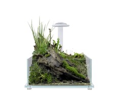 Wabi Kusa Bio Tank 32x20x14 cm Inclusief Led