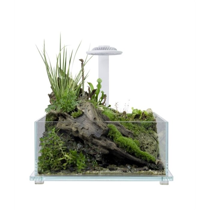 Wabi Kusa Bio Tank 32x20x14 cm Inclusief Led