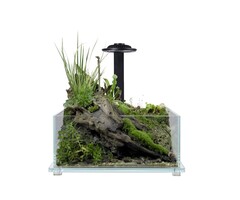 Wabi Kusa Bio Tank 32x32x14 cm Inclusief Led