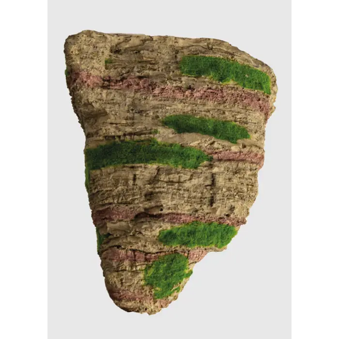 Superfish Floating Stone