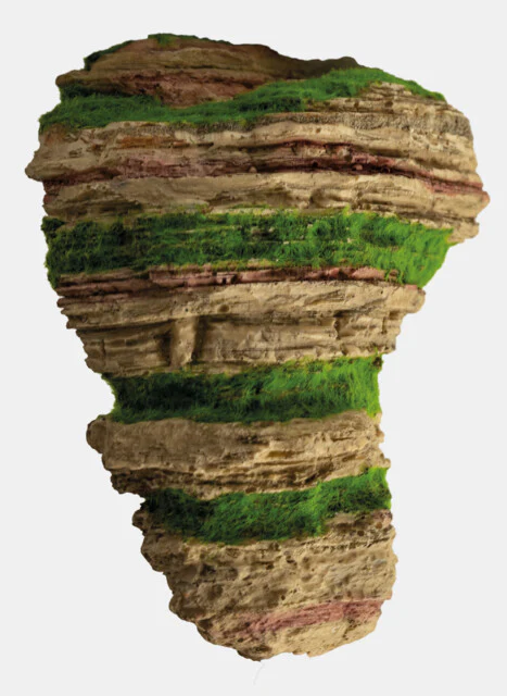 Superfish Floating Stone