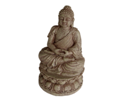 Superfish Zen Deco Buddha