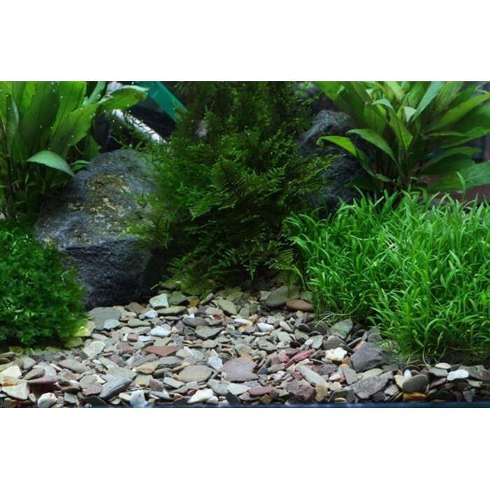 Dennerle Natural Gravel Rio Xingu 2-22 mm 5 kg