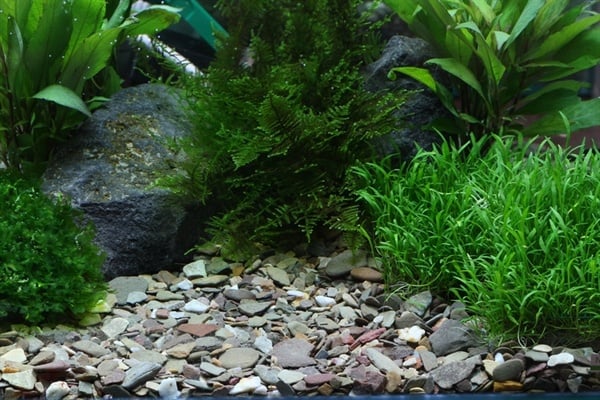 Dennerle Natural Gravel Rio Xingu 2-22 mm 5 kg