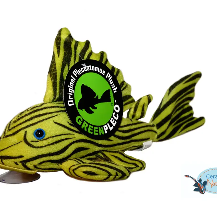 GreenPleco Royal Pleco Knuffel 30 cm