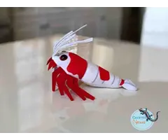 GreenPleco Crystal Red Garnaal Knuffel 24 cm