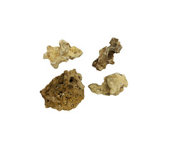 De Boon Moon Rock 10-15 cm 1.4 kg