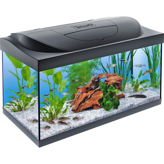 Tetra Aquarium Starter Line Day/Night LED 60x30x30 cm 54 Liter Zwart
