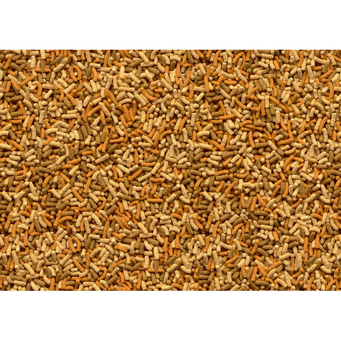 Tetra Pond Variety Sticks