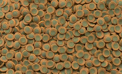 Tetra Pleco Spirulina Wafers 250 ml