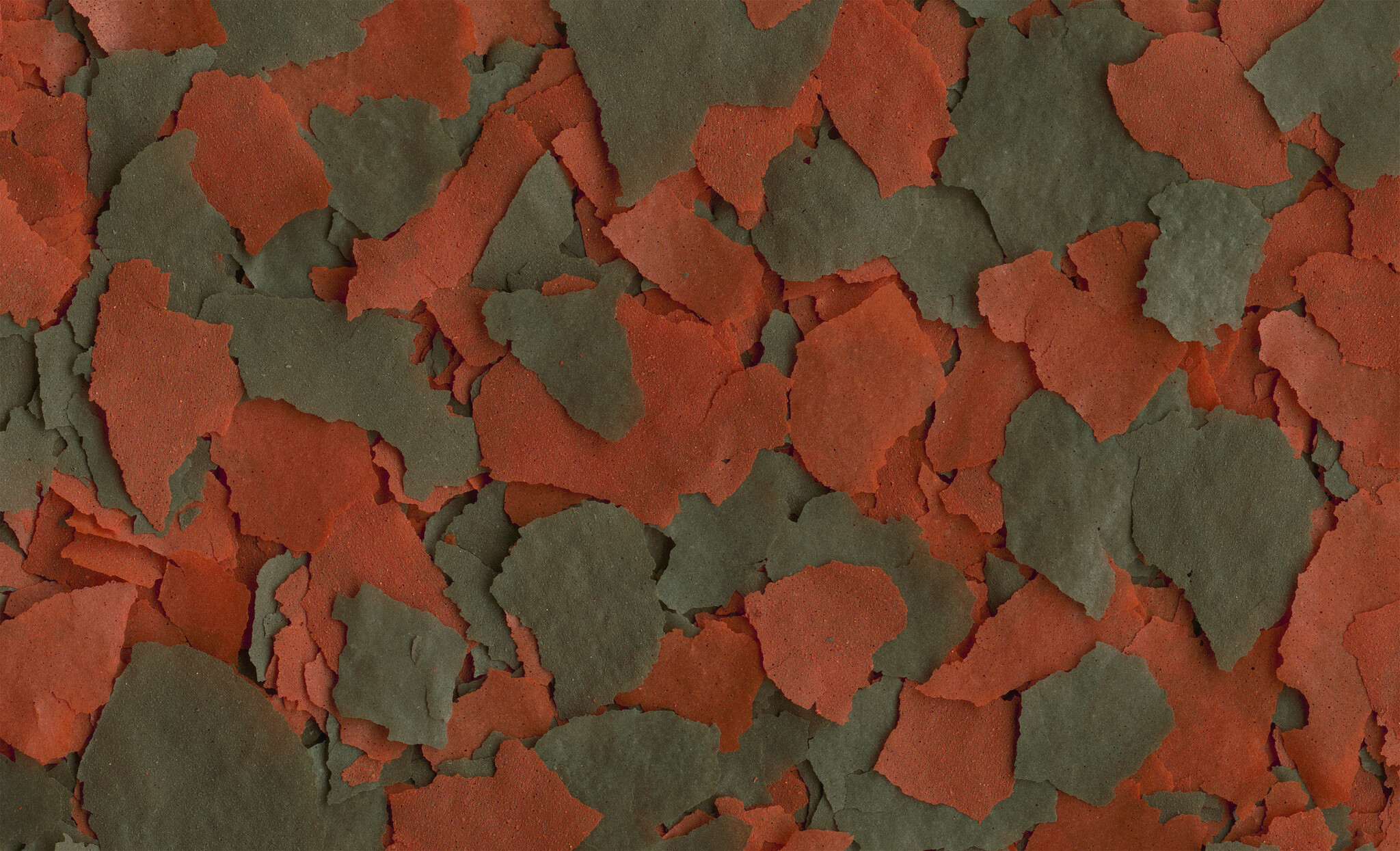 Tetra Cichlid XL Vlokken