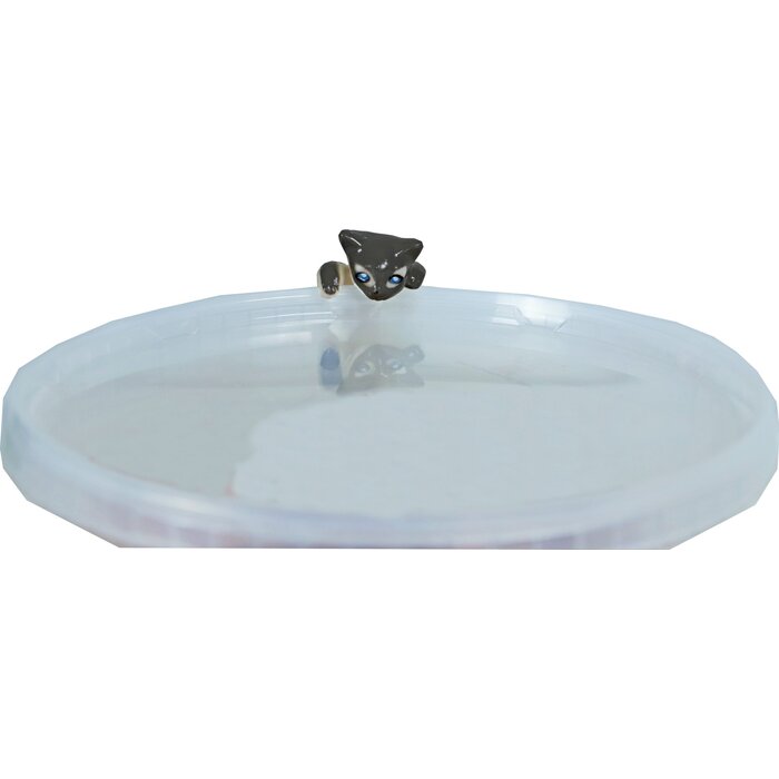 De Boon Plastic Hangkat Gekleurd 12.5 cm