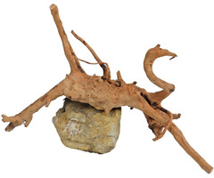 De Boon Spiderwood met Rots 10-20 cm