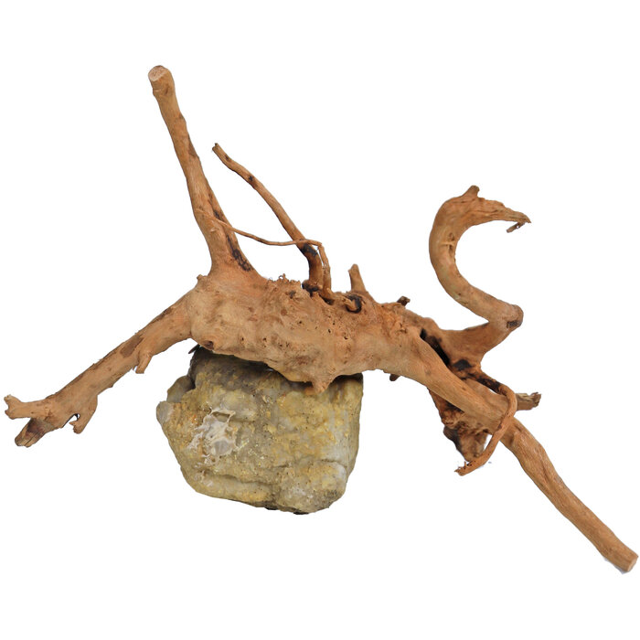 De Boon Spiderwood met Rots 10-20 cm