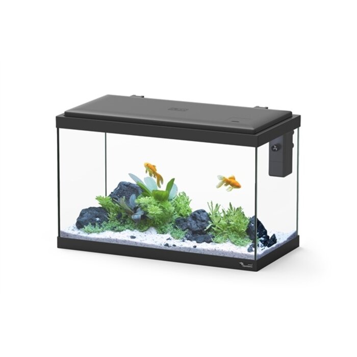 Aquatlantis Explorer Vienna 50x25x33 cm Zwart