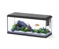 Aquatlantis Explorer Amsterdam 80 Zwart 80x30x37 cm