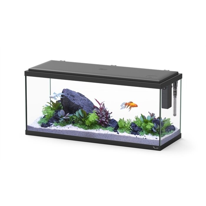 Aquatlantis Explorer Amsterdam 80 Zwart 80x30x37 cm