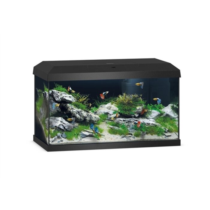 Juwel Primo 60 LED 2.0 Zwart