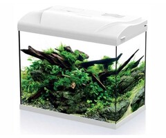 HS Aqua Platy 30 Led 39x22x36 cm 30 Liter