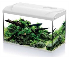 HS Aqua Platy 70 Led 59x31x39 cm 70 Liter