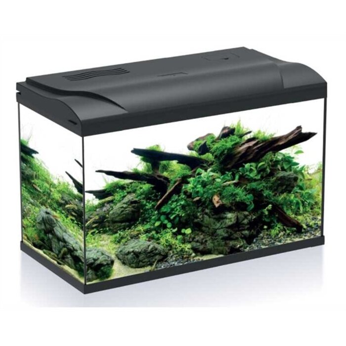 HS Aqua Platy 70 Led 59x31x39 cm 70 Liter
